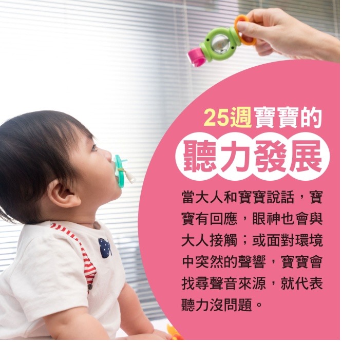寶寶篇 第25週：25週寶寶的聽力發展