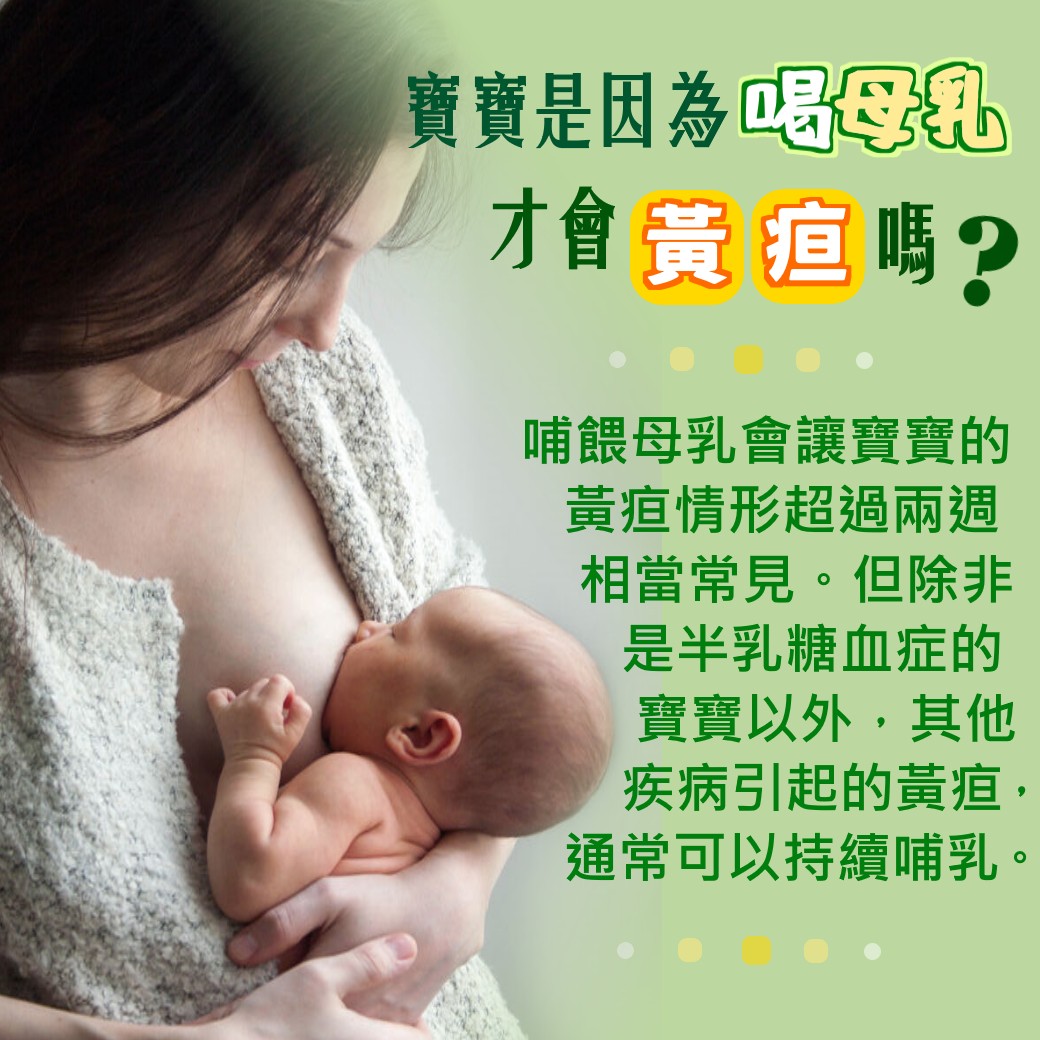 寶寶是因為喝母奶才會黃疸嗎?