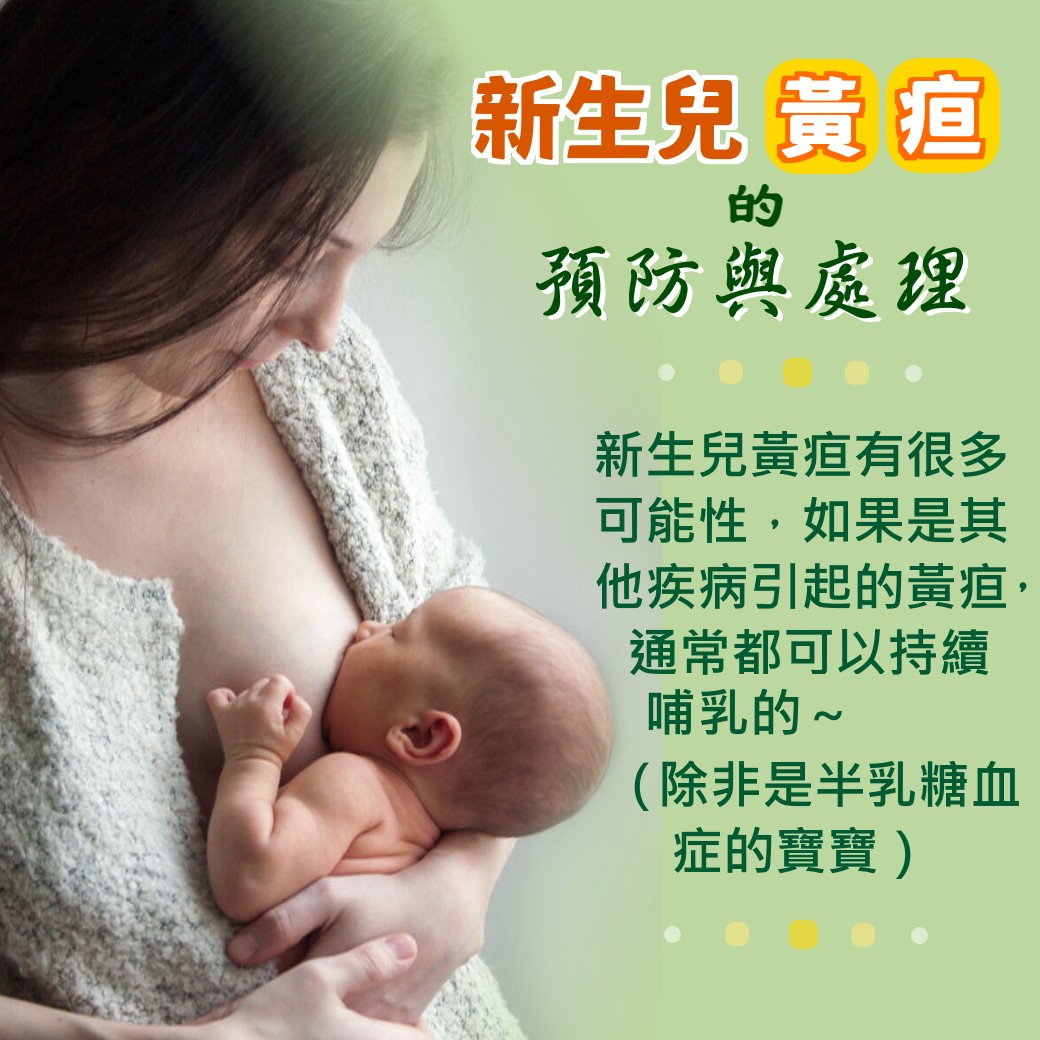 新生兒黃疸的預防與處理